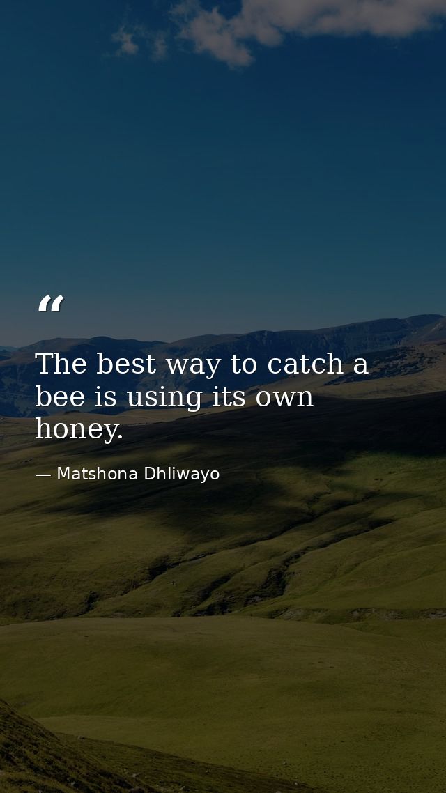 The best way to catch a bee is using its own honey. — Matshona Dhliwayo