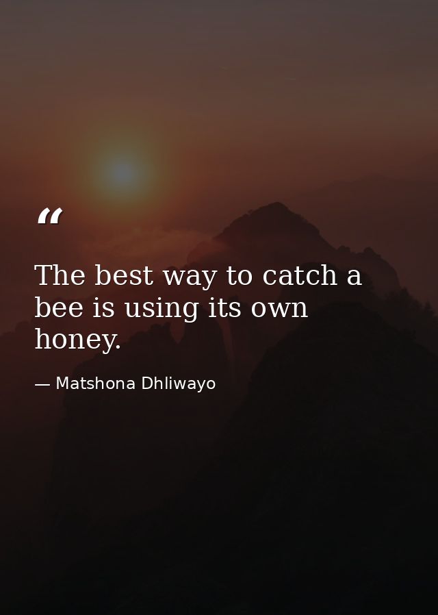 The best way to catch a bee is using its own honey. — Matshona Dhliwayo