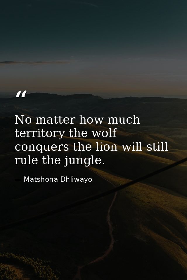 No matter how much territory the wolf conquers the lion will still rule the jungle. — Matshona Dhliwayo