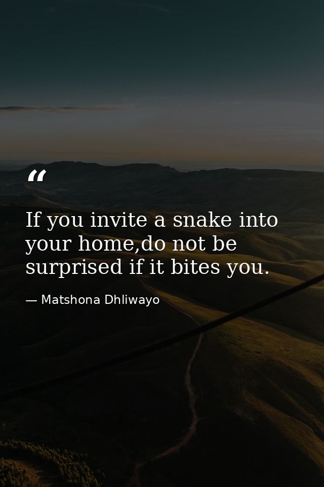 If you invite a snake into your home,do not be surprised if it bites you. — Matshona Dhliwayo