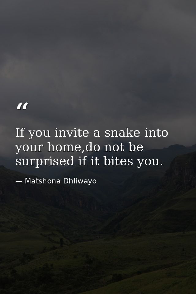 If you invite a snake into your home,do not be surprised if it bites you. — Matshona Dhliwayo