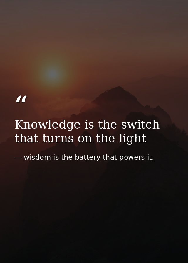 Knowledge is the switch that turns on the light — wisdom is the battery that powers it.