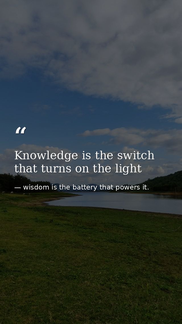 Knowledge is the switch that turns on the light — wisdom is the battery that powers it.