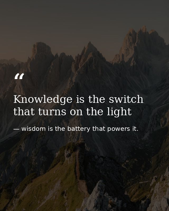 Knowledge is the switch that turns on the light — wisdom is the battery that powers it.