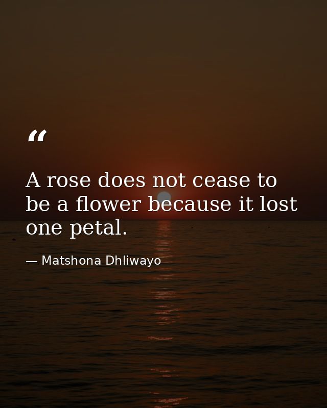 A rose does not cease to be a flower because it lost one petal. — Matshona Dhliwayo