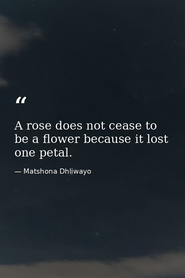 A rose does not cease to be a flower because it lost one petal. — Matshona Dhliwayo