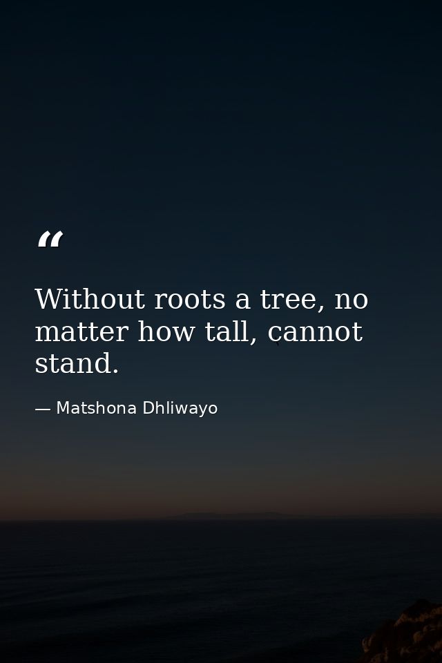 Without roots a tree, no matter how tall, cannot stand. — Matshona Dhliwayo