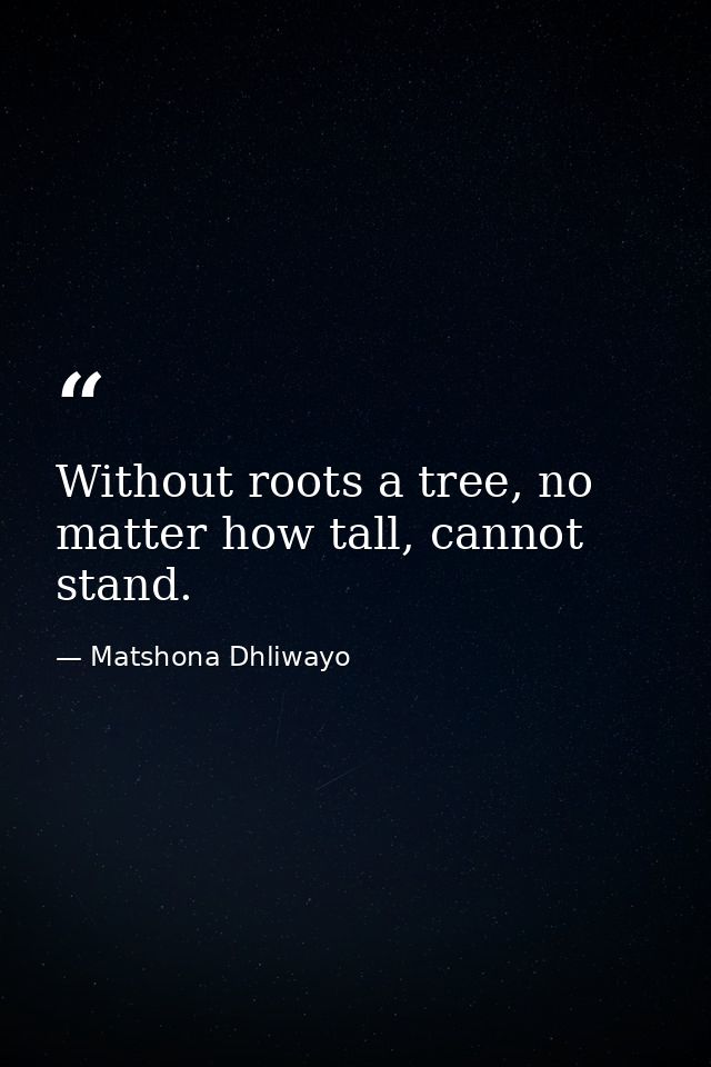Without roots a tree, no matter how tall, cannot stand. — Matshona Dhliwayo