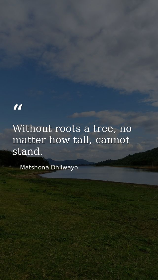 Without roots a tree, no matter how tall, cannot stand. — Matshona Dhliwayo