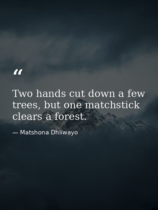Two hands cut down a few trees, but one matchstick clears a forest. — Matshona Dhliwayo