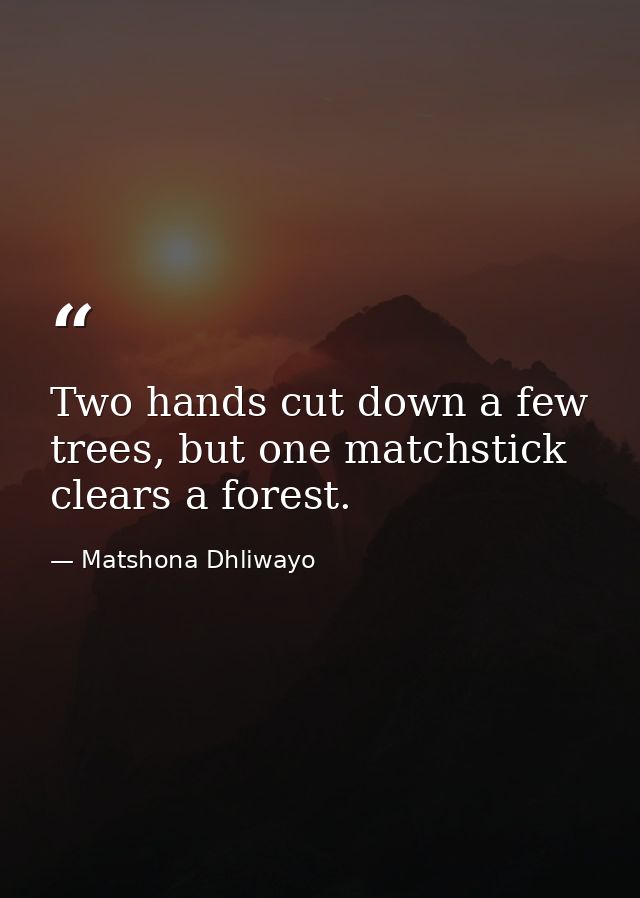 Two hands cut down a few trees, but one matchstick clears a forest. — Matshona Dhliwayo