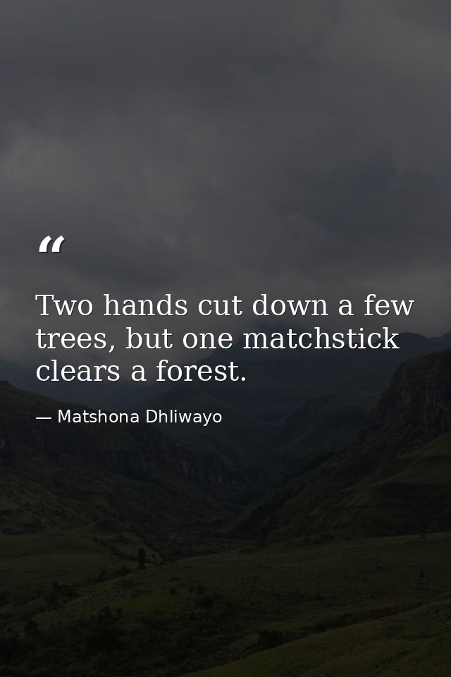 Two hands cut down a few trees, but one matchstick clears a forest. — Matshona Dhliwayo