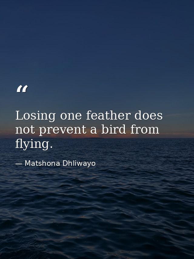Losing one feather does not prevent a bird from flying. — Matshona Dhliwayo