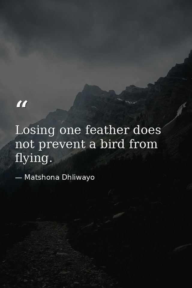Losing one feather does not prevent a bird from flying. — Matshona Dhliwayo