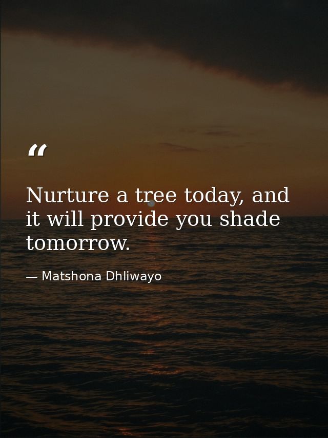 Nurture a tree today, and it will provide you shade tomorrow. — Matshona Dhliwayo