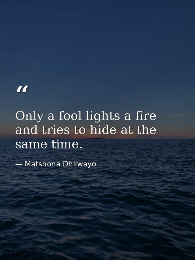 Only a fool lights a fire and tries to hide at the same time. — Matshona Dhliwayo