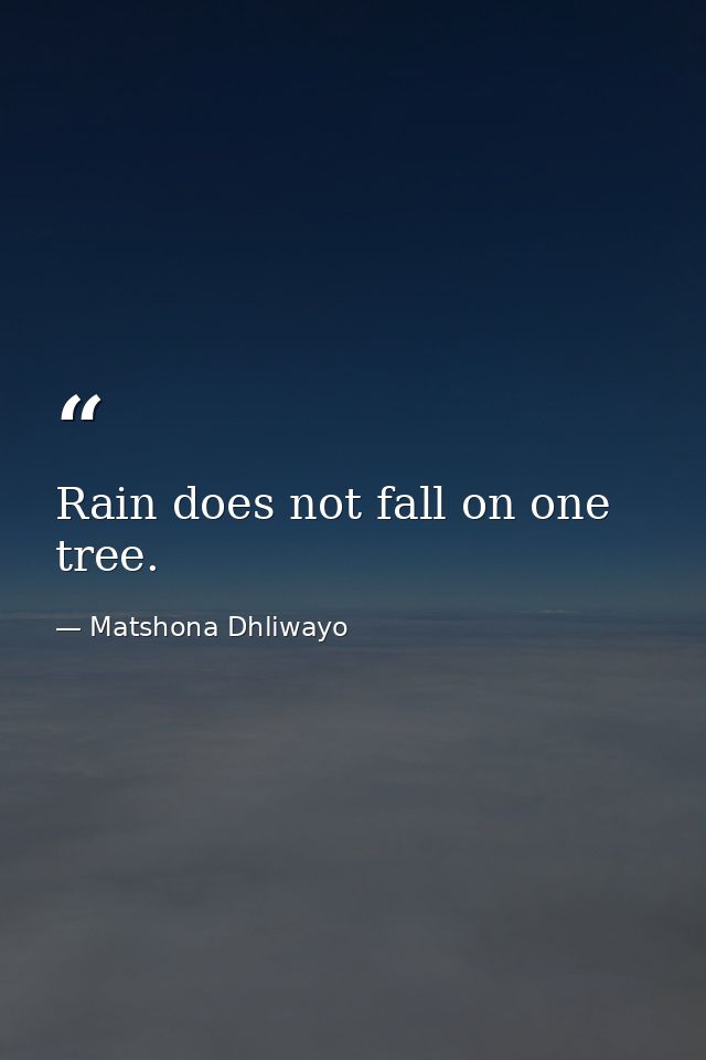Rain does not fall on one tree. — Matshona Dhliwayo