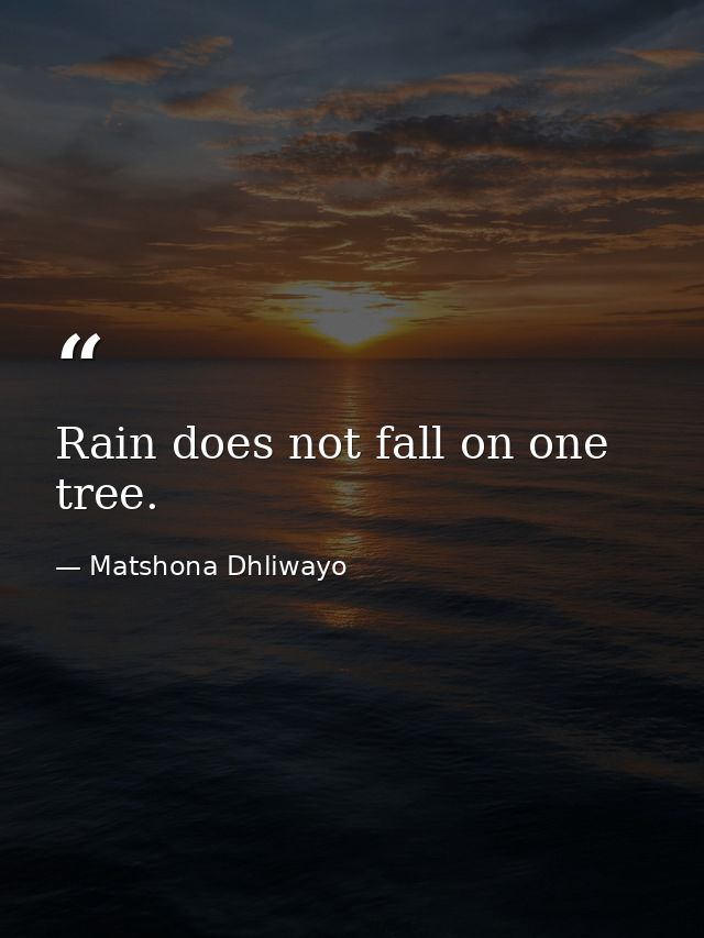 Rain does not fall on one tree. — Matshona Dhliwayo