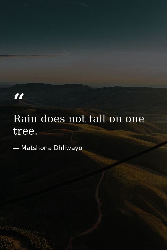 Rain does not fall on one tree. — Matshona Dhliwayo