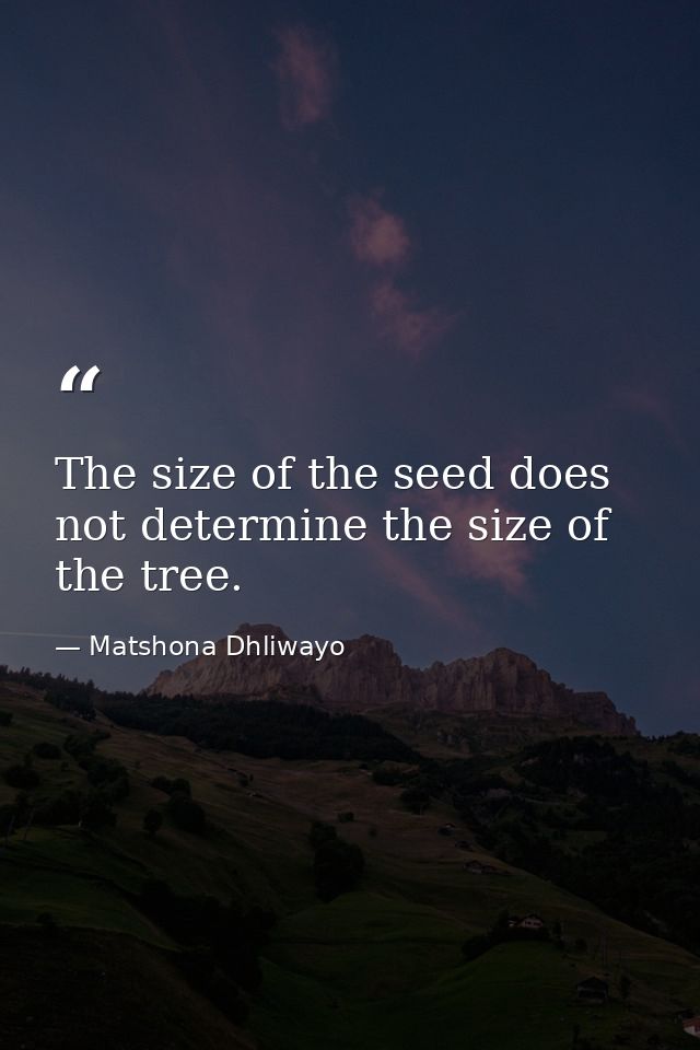 The size of the seed does not determine the size of the tree. — Matshona Dhliwayo