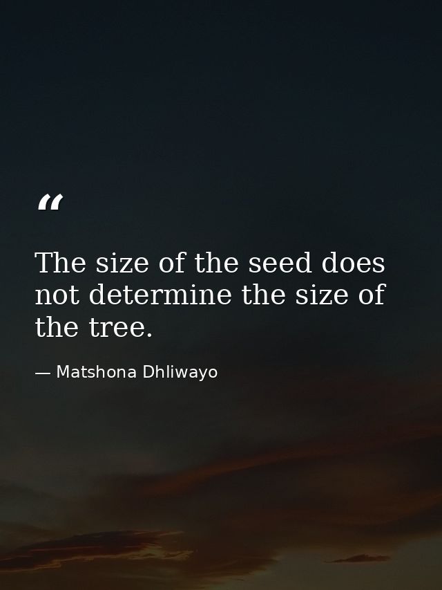 The size of the seed does not determine the size of the tree. — Matshona Dhliwayo