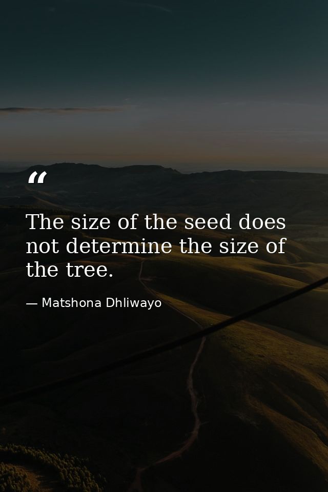 The size of the seed does not determine the size of the tree. — Matshona Dhliwayo
