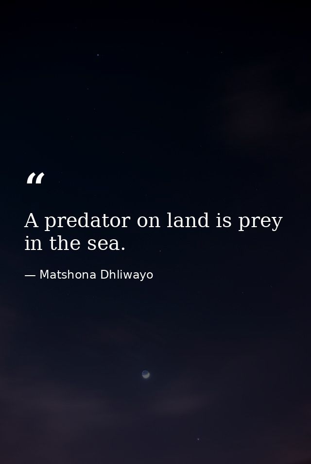 A predator on land is prey in the sea. — Matshona Dhliwayo