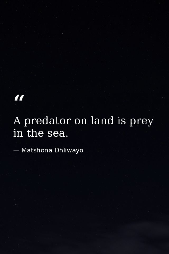 A predator on land is prey in the sea. — Matshona Dhliwayo
