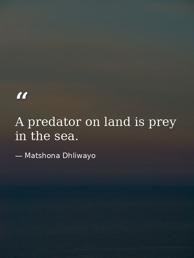 A predator on land is prey in the sea. — Matshona Dhliwayo