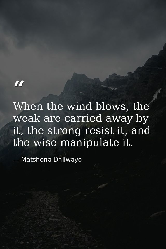 When the wind blows, the weak are carried away by it, the strong resist it, and the wise manipulate it. — Matshona Dhliwayo
