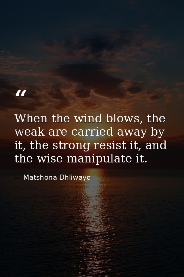 When the wind blows, the weak are carried away by it, the strong resist it, and the wise manipulate it. — Matshona Dhliwayo