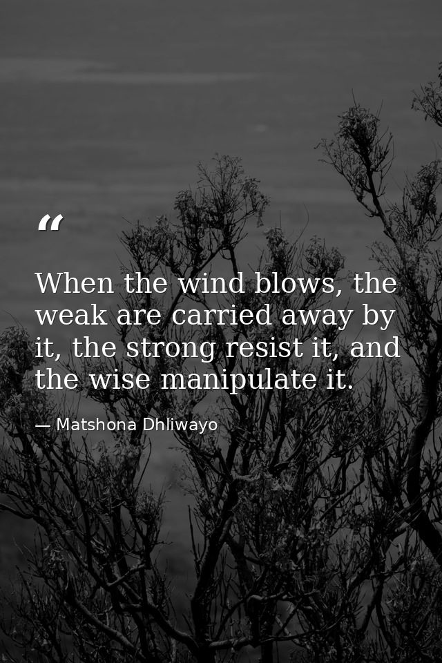 When the wind blows, the weak are carried away by it, the strong resist it, and the wise manipulate it. — Matshona Dhliwayo