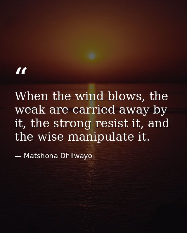 When the wind blows, the weak are carried away by it, the strong resist it, and the wise manipulate it. — Matshona Dhliwayo