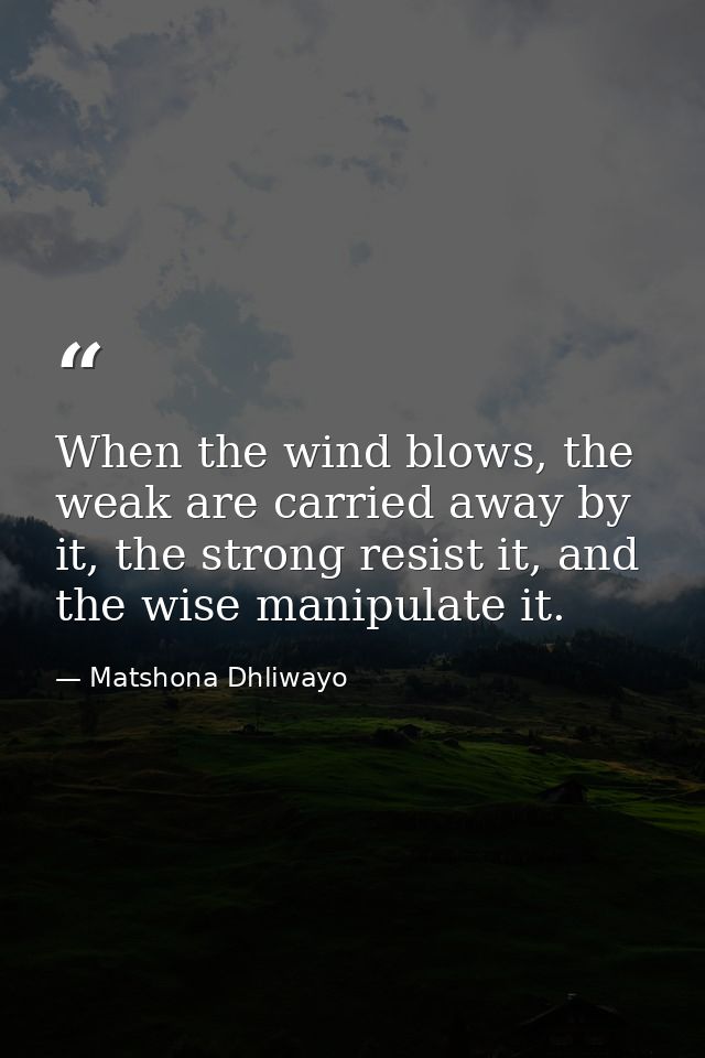 When the wind blows, the weak are carried away by it, the strong resist it, and the wise manipulate it. — Matshona Dhliwayo