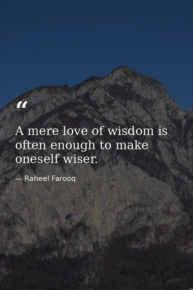 A mere love of wisdom is often enough to make oneself wiser. — Raheel Farooq