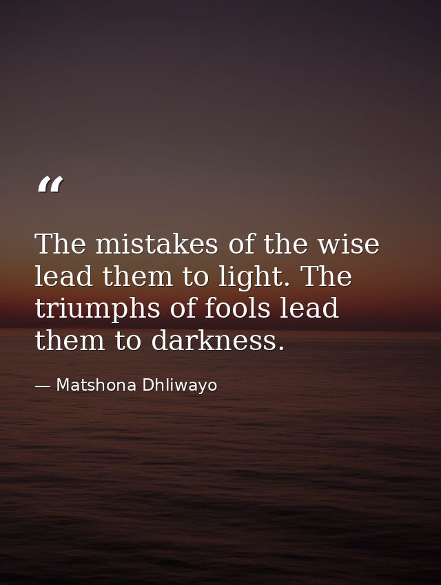 The mistakes of the wise lead them to light. The triumphs of fools lead them to darkness. — Matshona Dhliwayo