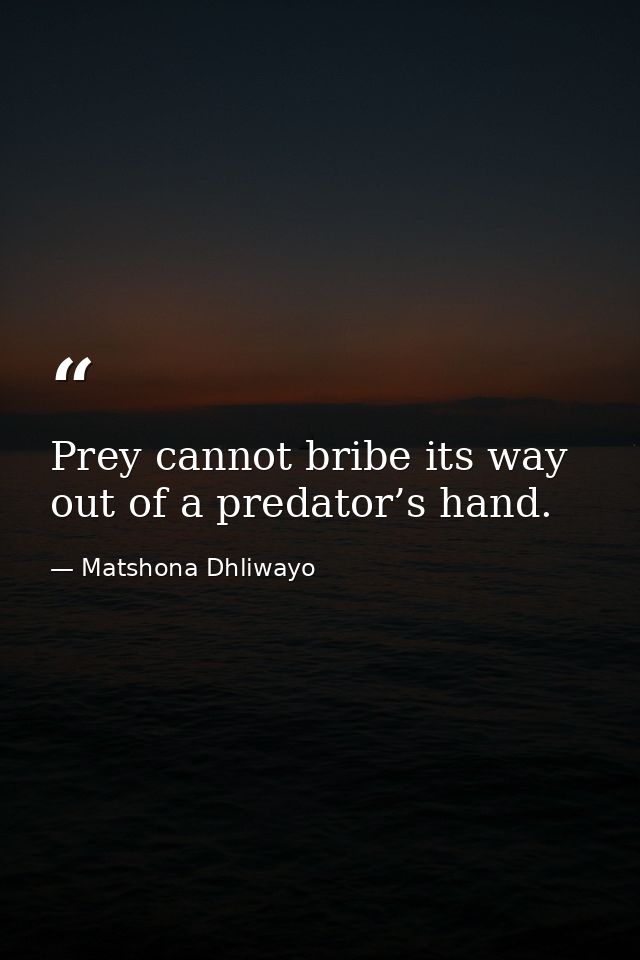 Prey cannot bribe its way out of a predator’s hand. — Matshona Dhliwayo