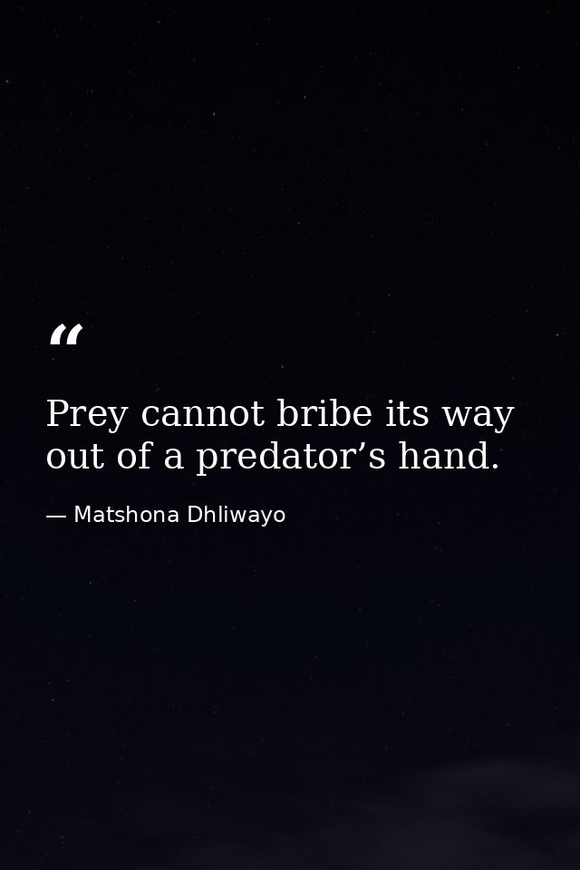 Prey cannot bribe its way out of a predator’s hand. — Matshona Dhliwayo