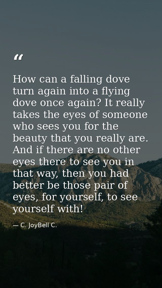 How can a falling dove turn again into a flying dove once again? It really takes the eyes of someone who sees you for th — C. JoyBell C.
