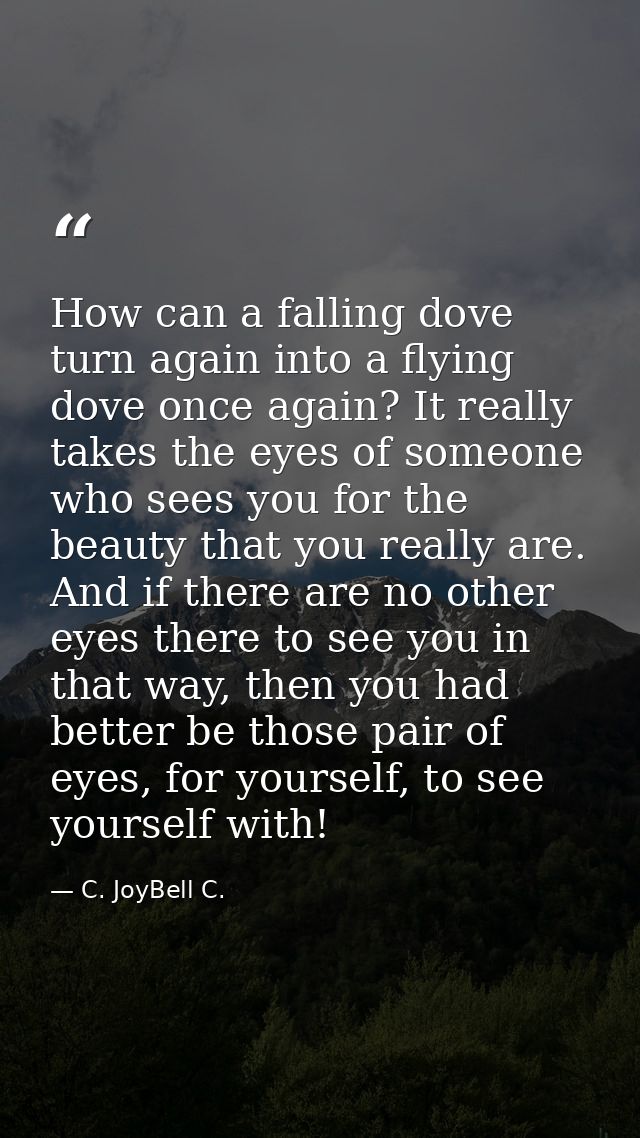 How can a falling dove turn again into a flying dove once again? It really takes the eyes of someone who sees you for th — C. JoyBell C.
