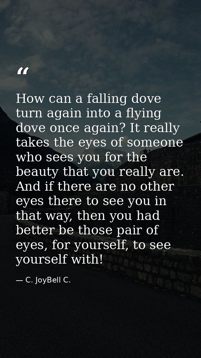 How can a falling dove turn again into a flying dove once again? It really takes the eyes of someone who sees you for th — C. JoyBell C.