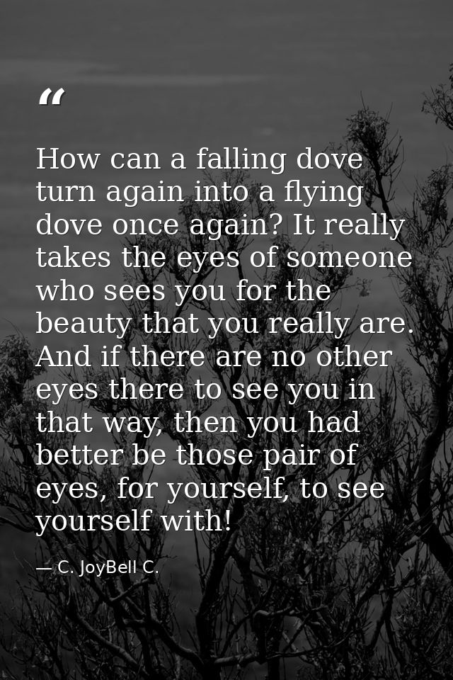 How can a falling dove turn again into a flying dove once again? It really takes the eyes of someone who sees you for th — C. JoyBell C.