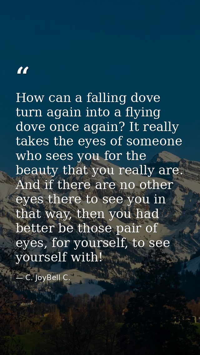 How can a falling dove turn again into a flying dove once again? It really takes the eyes of someone who sees you for th — C. JoyBell C.