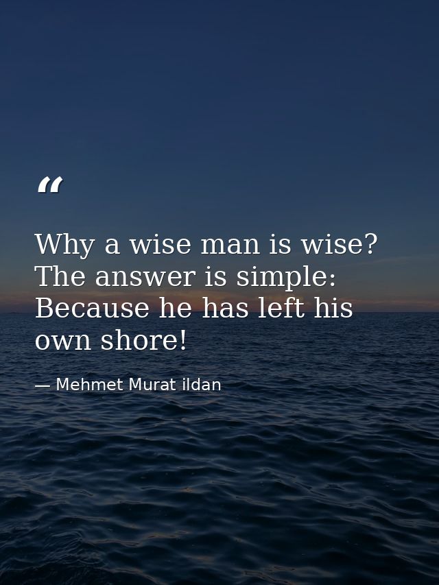 Why a wise man is wise? The answer is simple: Because he has left his own shore! — Mehmet Murat ildan