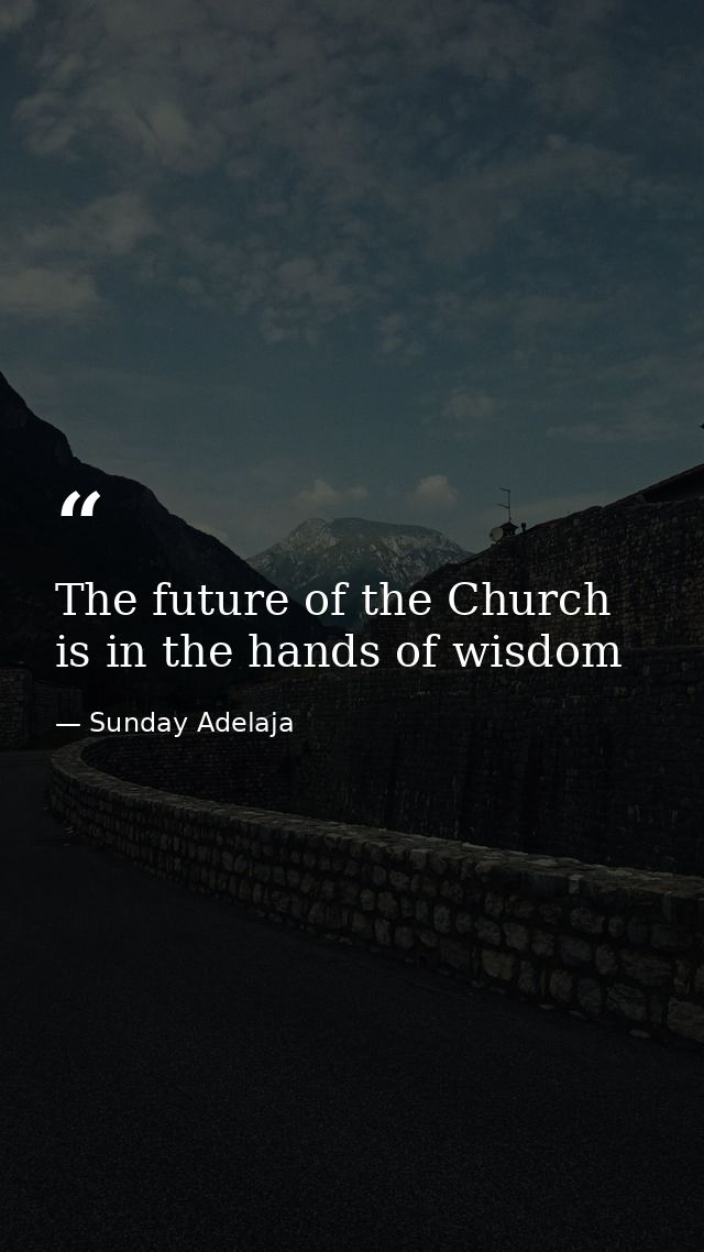 The future of the Church is in the hands of wisdom — Sunday Adelaja