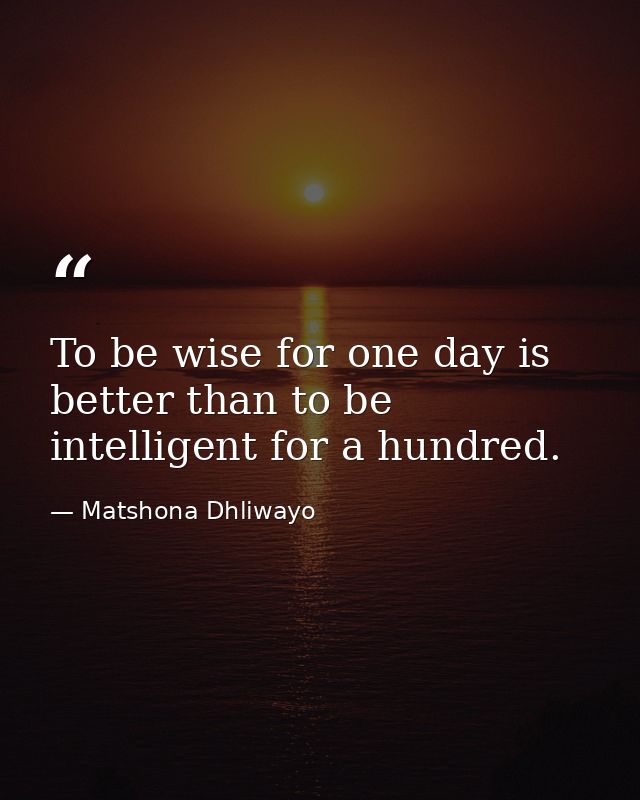 To be wise for one day is better than to be intelligent for a hundred. — Matshona Dhliwayo