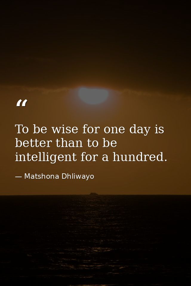 To be wise for one day is better than to be intelligent for a hundred. — Matshona Dhliwayo