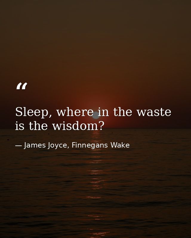 Sleep, where in the waste is the wisdom? — James Joyce, Finnegans Wake