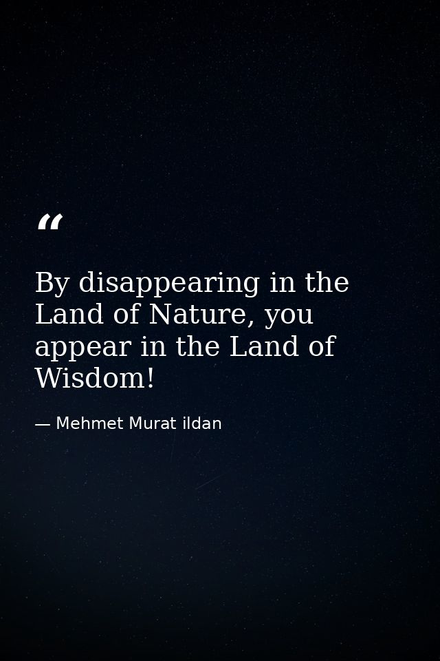 By disappearing in the Land of Nature, you appear in the Land of Wisdom! — Mehmet Murat ildan