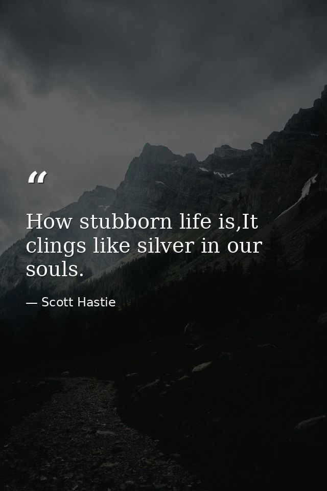 How stubborn life is,It clings like silver in our souls. — Scott Hastie